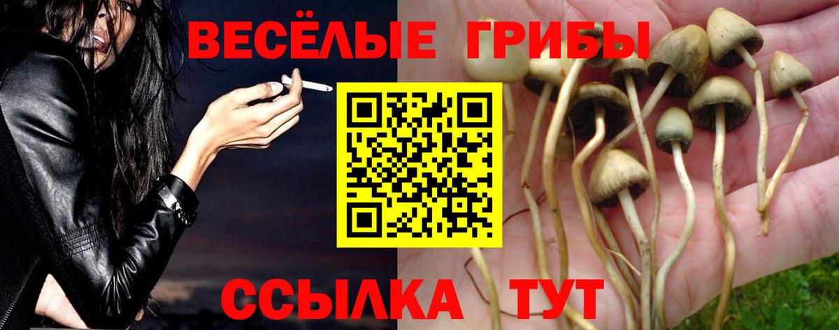 Галлюциногенные грибы прущие грибы  Вход с VPN  Славгород  Псилоцибиновые грибы мицелий 