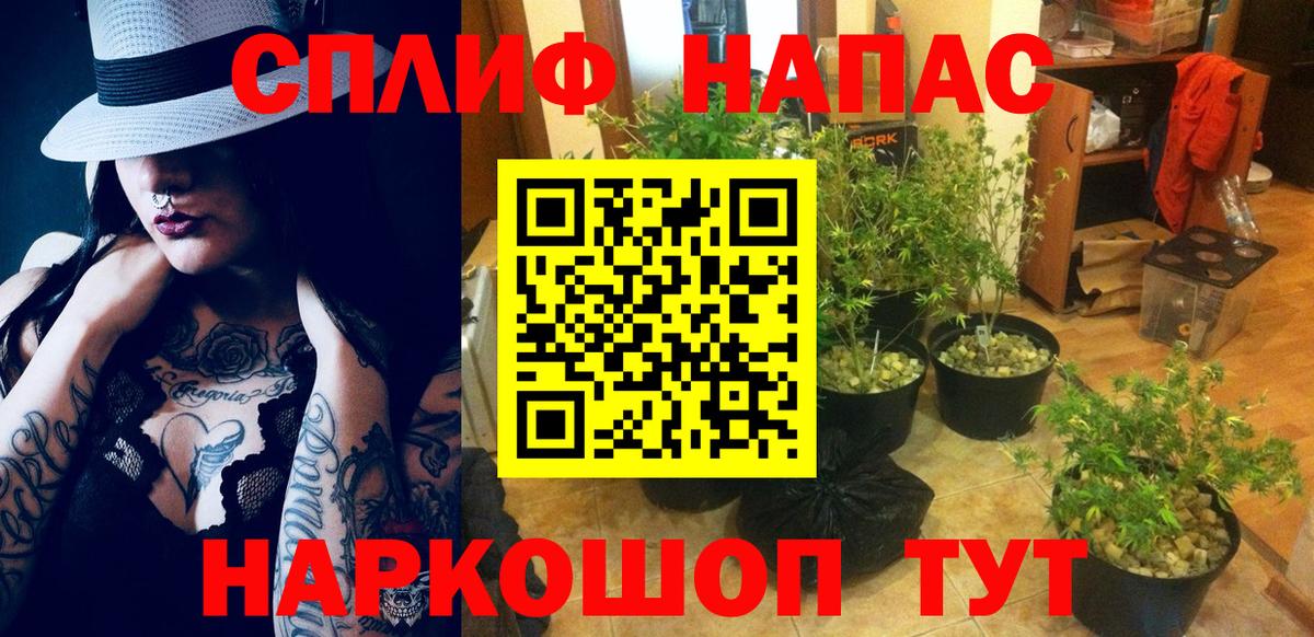 Бошки марихуана AK-47 Славгород